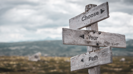 sign posts that read "Choose Your Path"